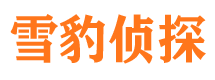 无极侦探调查公司